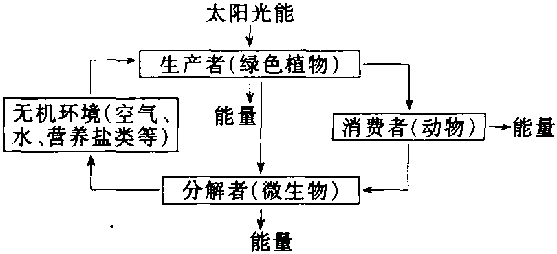 1.2.1.1 保持生態(tài)平衡